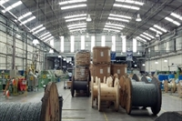 América Latina puede incrementar la producción de fibra - Crédito: Furukawa